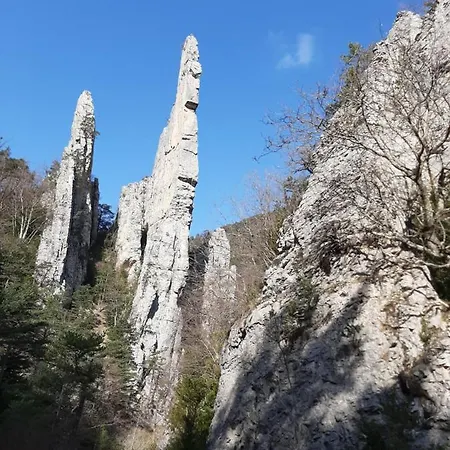 Le Sareymond Menée
