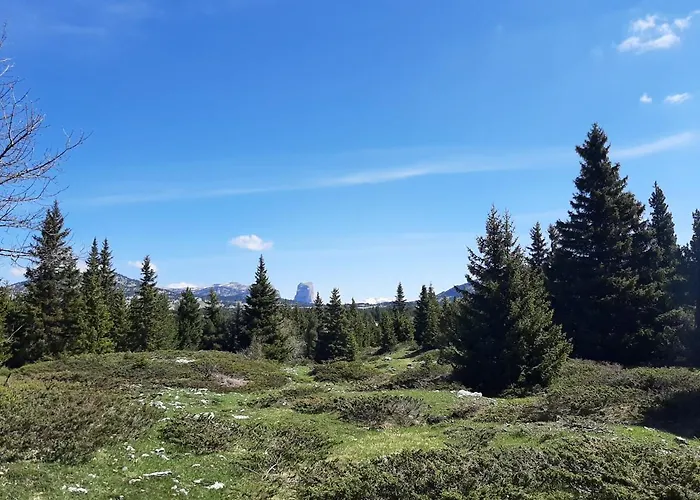 Frühstückspension Le Sareymond Menée