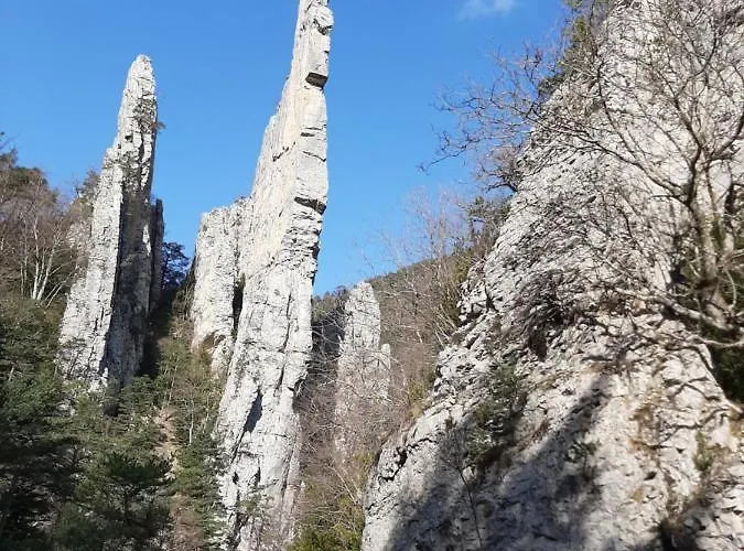 Le Sareymond Menée