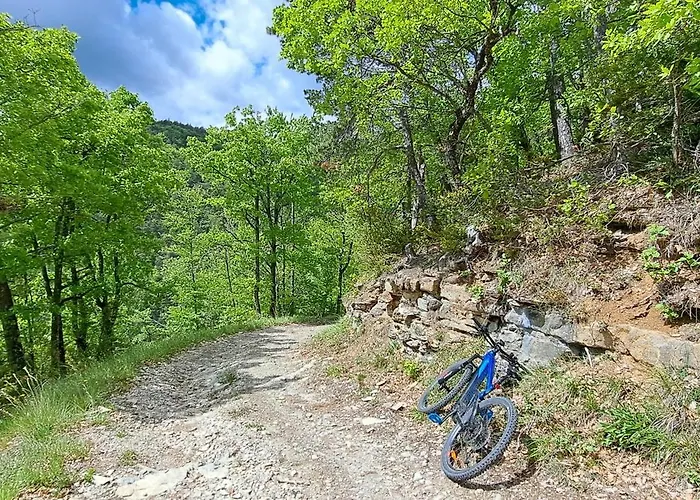Frühstückspension Le Sareymond 3*