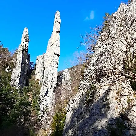 Le Sareymond Menée