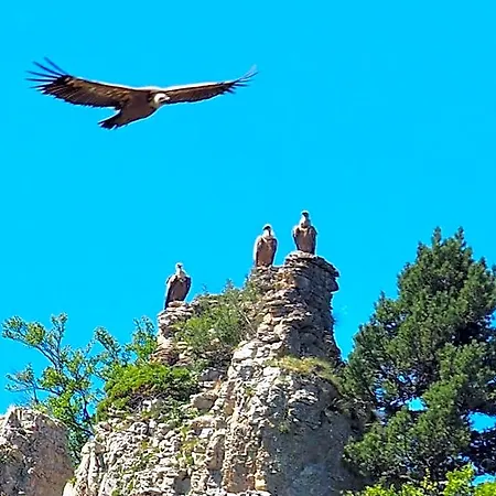 Le Sareymond 3* Menée